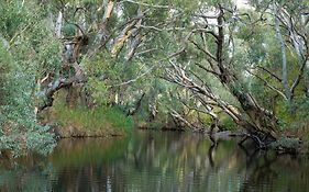 Zamenhof River Cabin - Peaceful Farm Escape - Pets Welcome